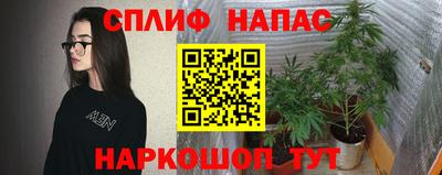 spice Балахна