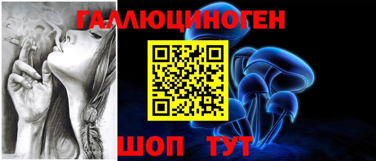 Псилоцибиновые грибы Psilocybe Гуково